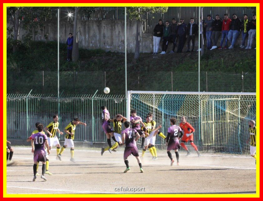 190310 Cephal_Torrenov 106y_tn.jpg